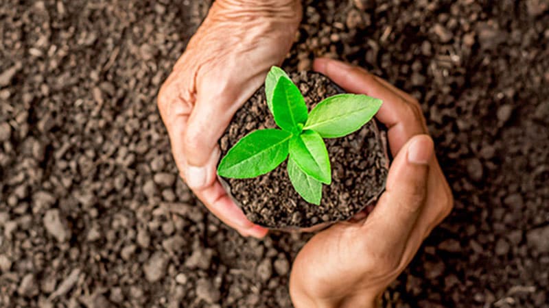 Environment sustainability themed illustration